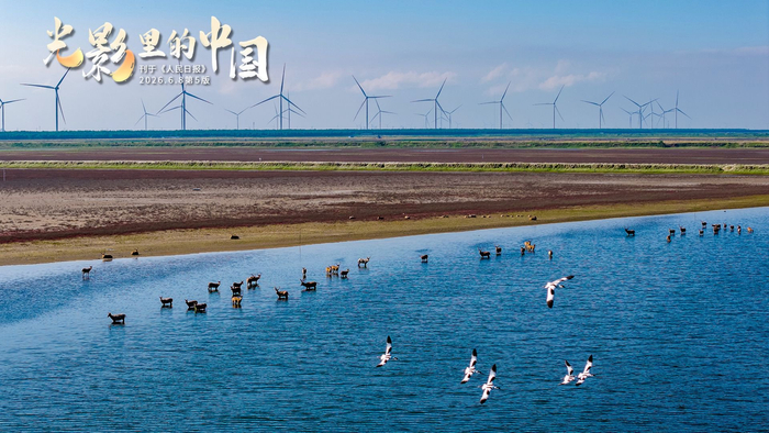 坚持记录生活五重价值，告别浑噩掌控日常节奏