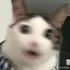 剑剑夜聊探讨人生未做之事