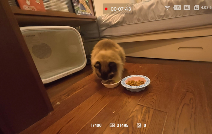 孩子被美食香迷糊，一炫一个不吱声