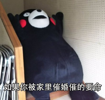 反客为主应对催婚，高效相亲新招引热议