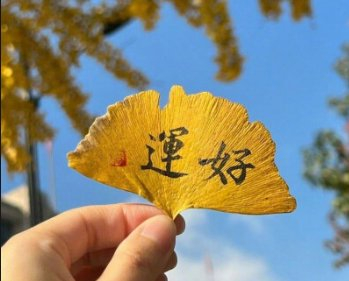 星座博主发起转发许愿活动