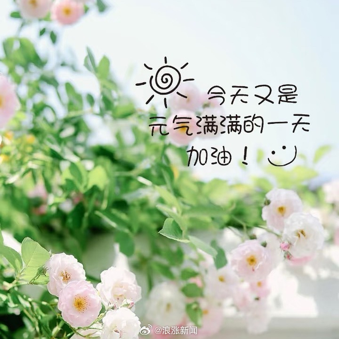 早安超话倡导清醒释然自由人生