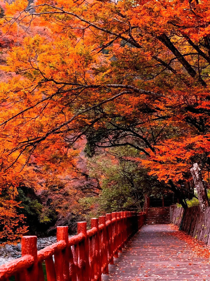 成年人相处之道：知人不评人知事不声张