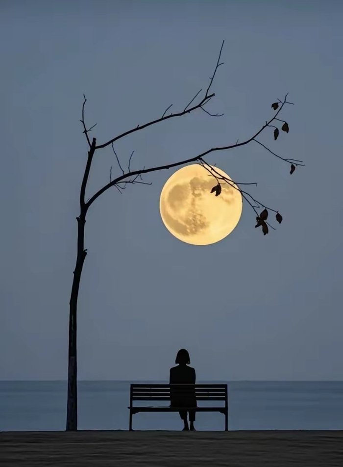 三十而立懂边界四十不惑知分寸