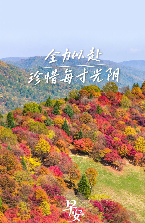 2025年最后两个月，珍惜时光奔赴热爱