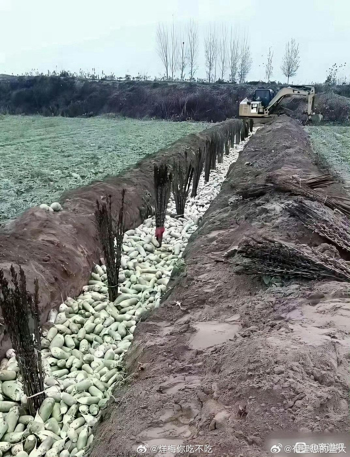 网友疑惑发问这是在干啥