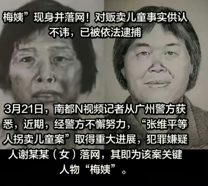 梅姨涉嫌拐卖儿童被逮捕__财经头条__新浪财经