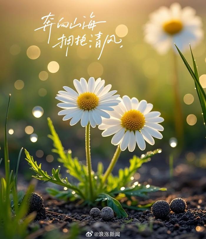 早安超话今日营业，平凡人生也能发光