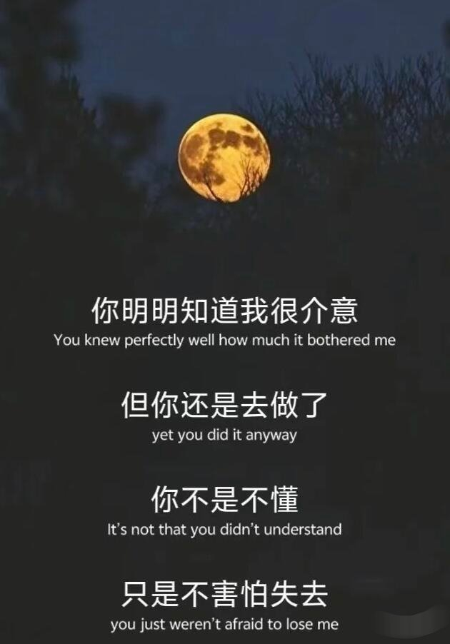 专家解析心累成因与应对方法