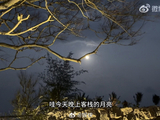 沈月《亲爱的客栈》收官vlog记录暖心瞬间