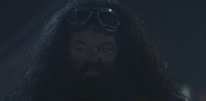 44年前邓布利多送哈利波特至德思礼家，麦格预言其成名