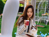 刘亦菲迪丽热巴等明星晒猫咪合照治愈瞬间