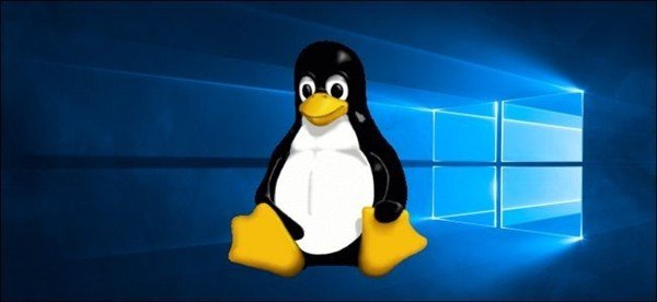 联想电脑安装Linux系统准备与操作 Win11安装Linux系统怎么搞