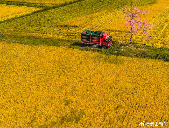 佛山晨光提醒卸下负担拥抱生活