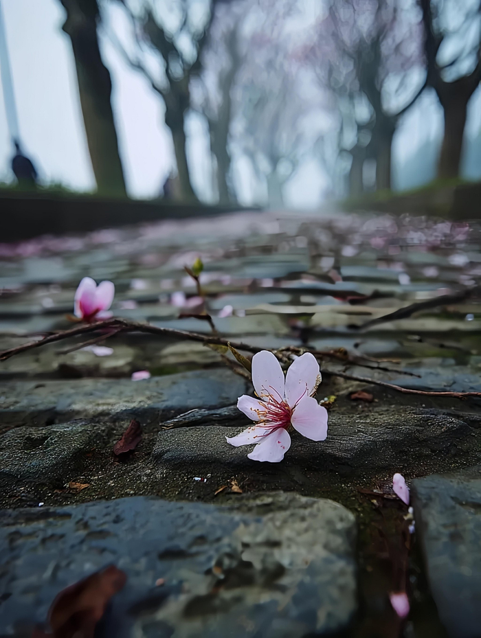 早安问候语引发网友共鸣