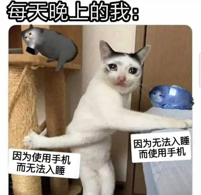 专家建议每天早睡1小时，网友称难以实现