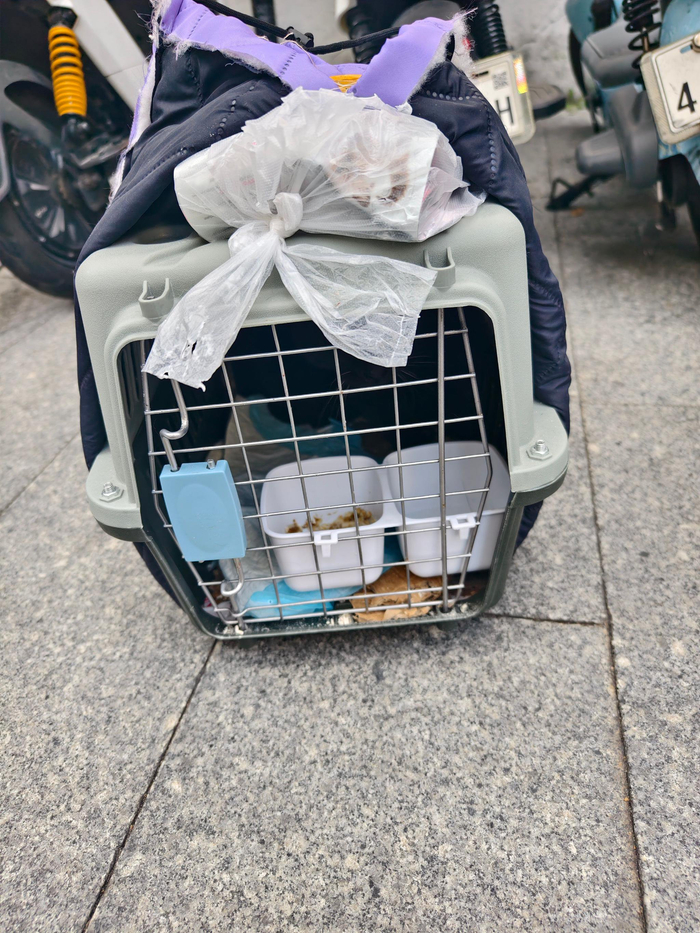 幺幺找到新家，开启幸福生活