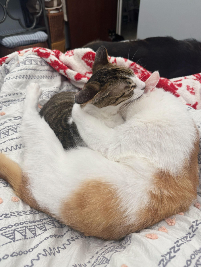 孩子王幸福生活引网友羡慕