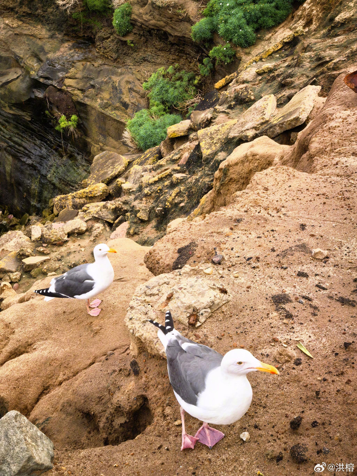 心态好运气自然来，稳得住肯实干心存善吸引好运