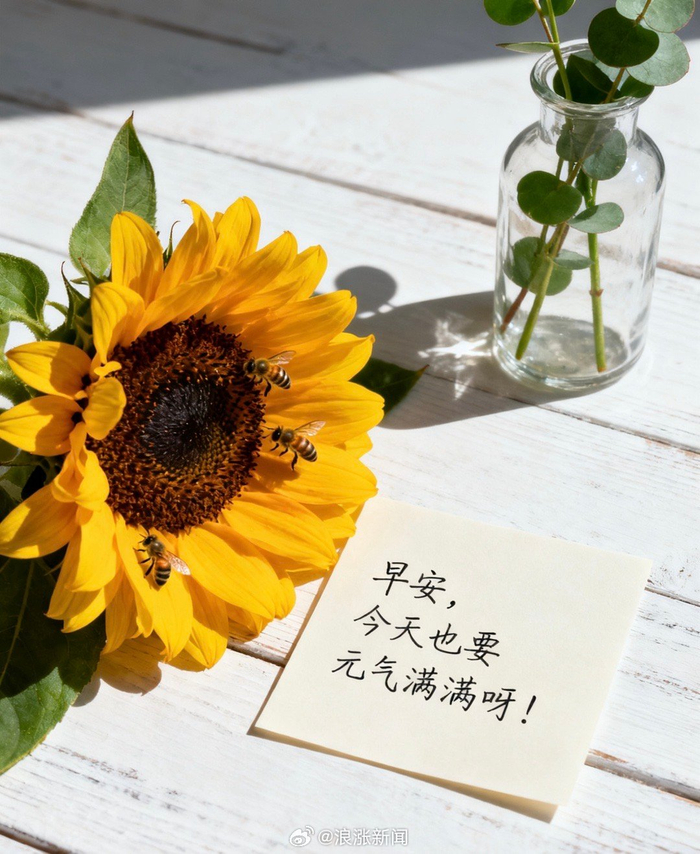 清晨微风送暖意，早安祝福伴你行
