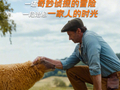 绵羊侦探团今日上映，转评赞赢电影票