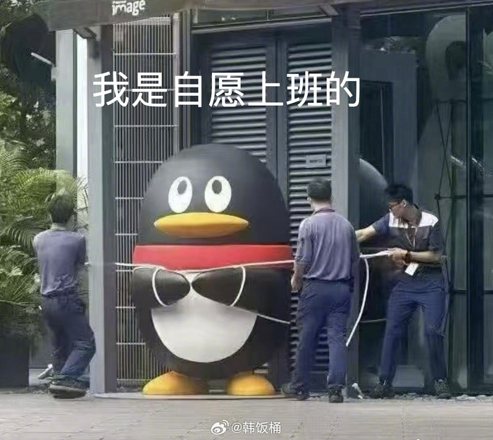 网友质疑守护行为实际效果