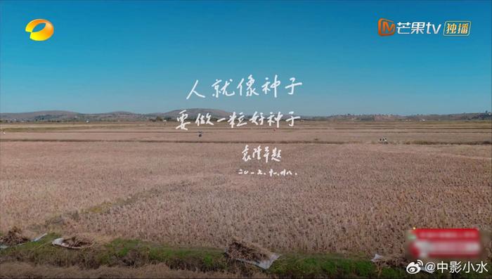 袁隆平勉励做一粒好种子