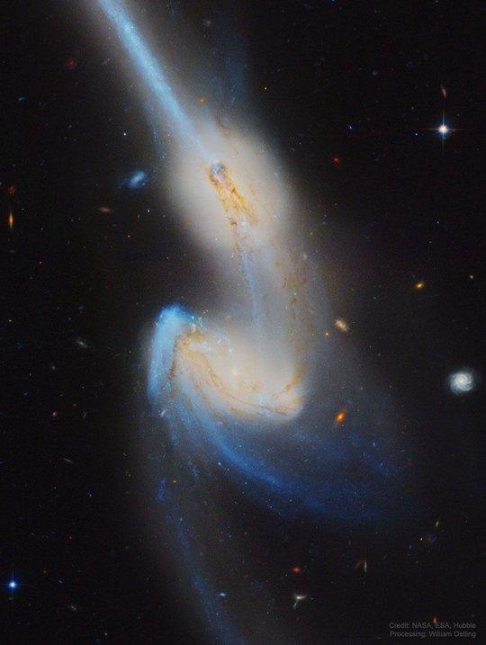 ngc4676: 老鼠星系