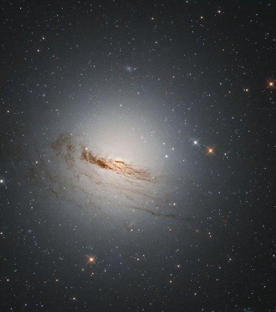 NGC 2448图片