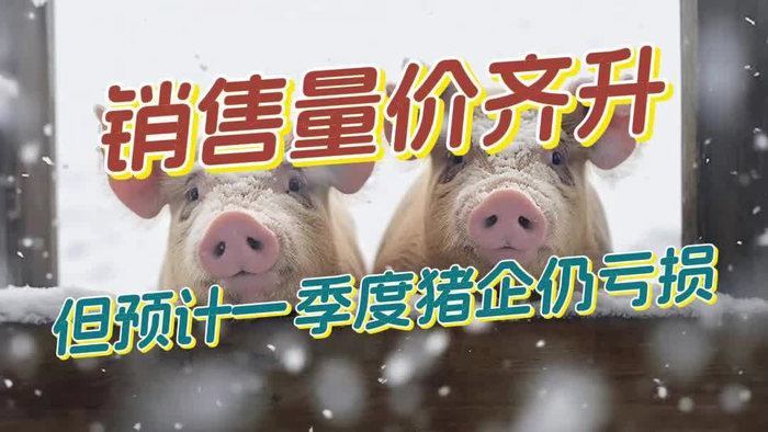 3月生猪销售量价齐升但第一季度预计仍继续亏损