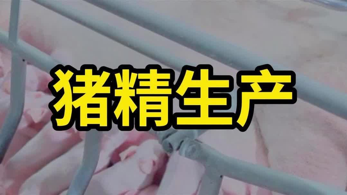 扬翔带您揭秘猪精生产全流程!