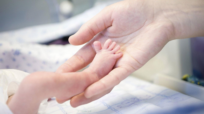 2024版中国生育成本报告养娃到本科毕业平均花费68万