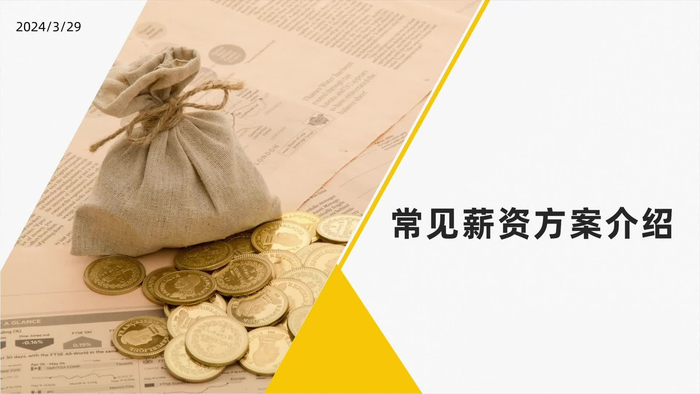 常见薪资方案管理ngtc珠宝v课