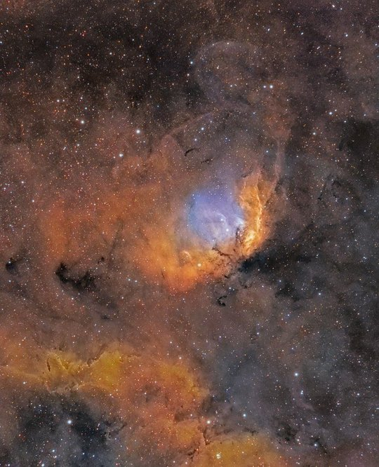 郁金香星云|nasa_新浪新闻