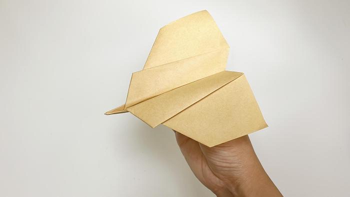 蜂鸟纸飞机图片