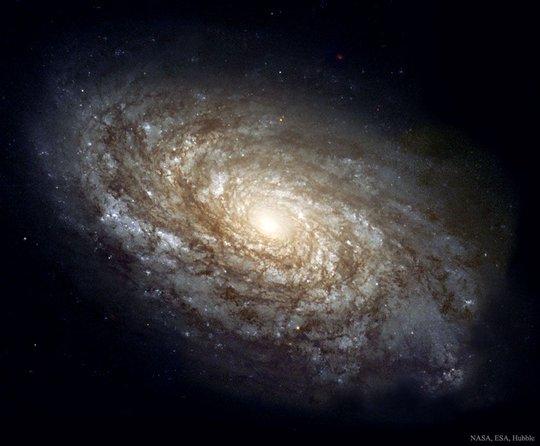 ngc 4414: 絮狀的螺旋星系|星系|nasa|天文_新浪新聞