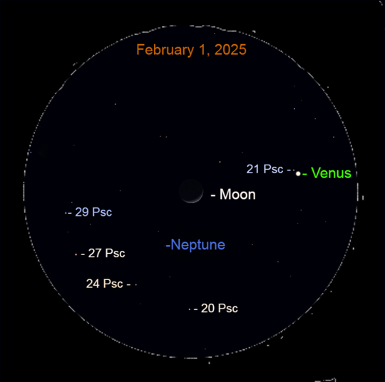 新月还是心悦?来看看就知道了!|金星|土星|海王星_新浪新闻