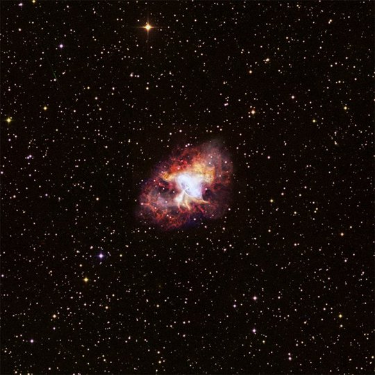 蟹状星云|天文|nasa|x射线_新浪新闻