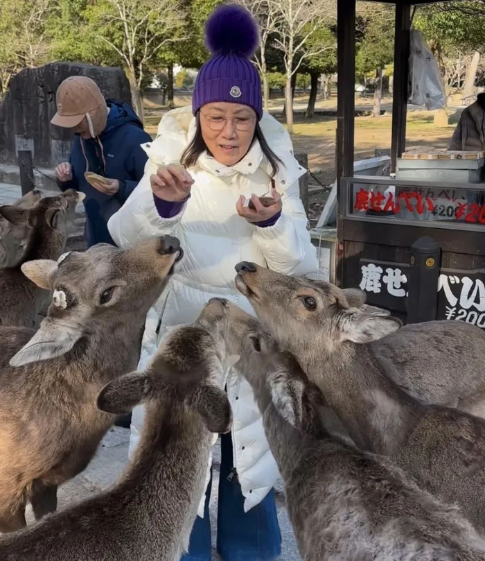 76岁tvb资深花旦突遭鹿群围攻,价值2万羽绒服被咬坏|阿姐|鹿群|英哥