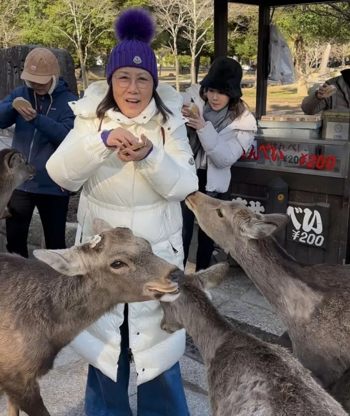 76岁tvb资深花旦突遭鹿群围攻,价值2万羽绒服被咬坏|阿姐|鹿群|英哥