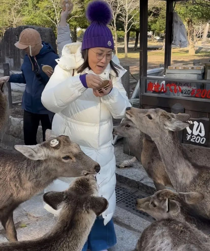 76岁tvb资深花旦突遭鹿群围攻,价值2万羽绒服被咬坏|阿姐|鹿群|英哥