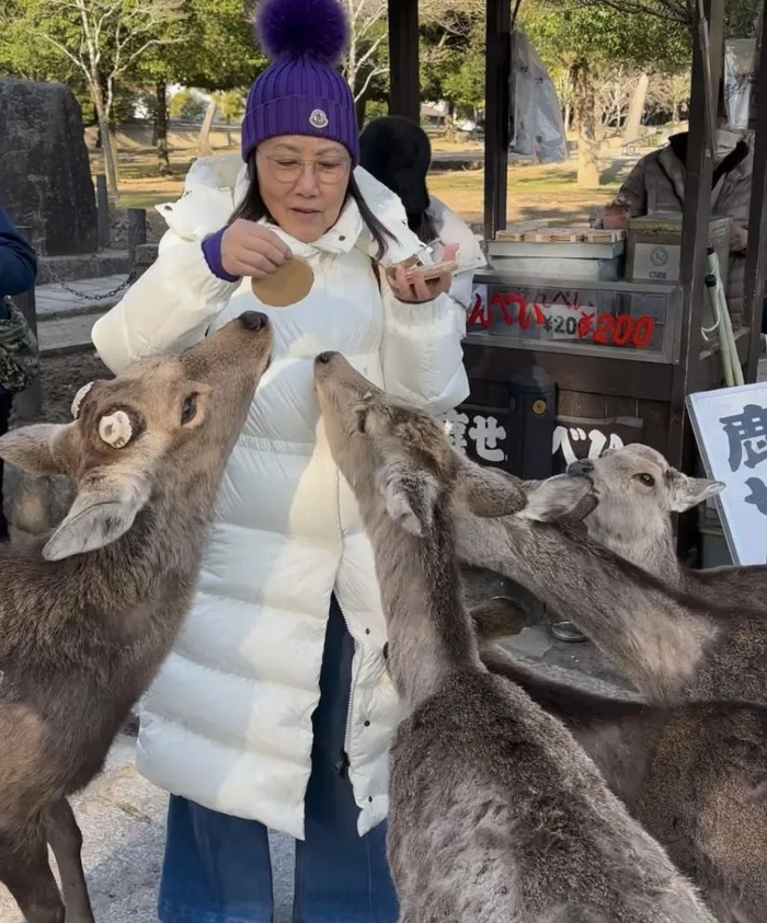 76岁tvb资深花旦突遭鹿群围攻,价值2万羽绒服被咬坏|阿姐|鹿群|英哥