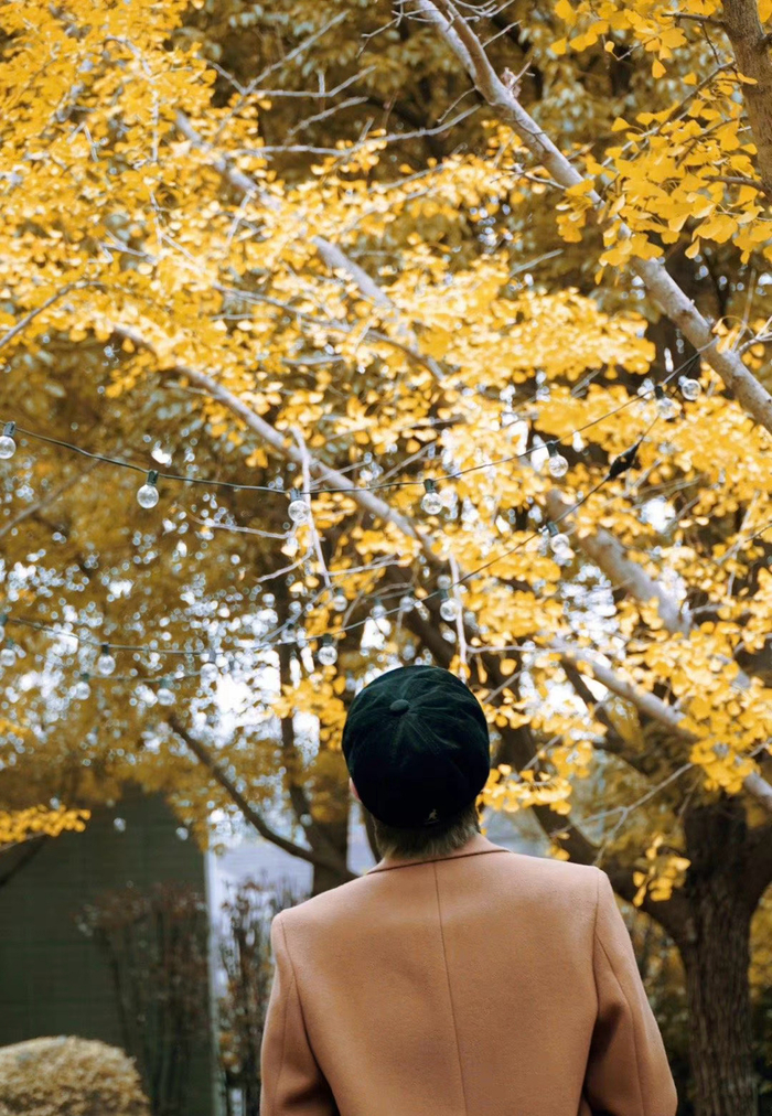 林彦俊身穿棕色外套,迷人背影气质满分,充满神秘感__财经头条