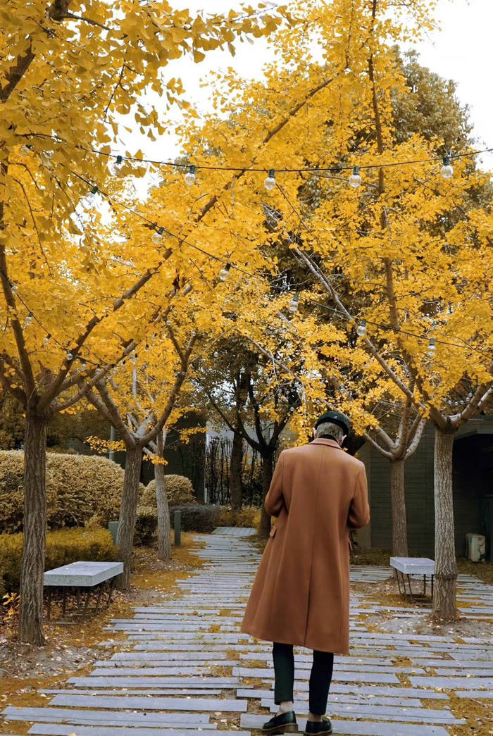 林彦俊身穿棕色外套迷人背影气质满分充满神秘感