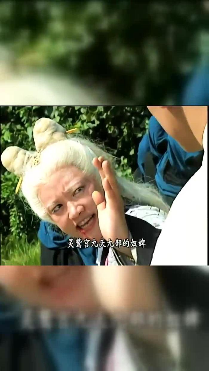 灵鹫宫四大婢女图片