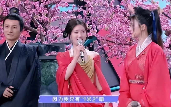 布局seo规则哪家靠谱