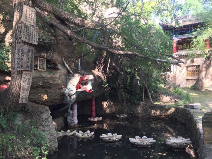 平凉龙隐寺图片