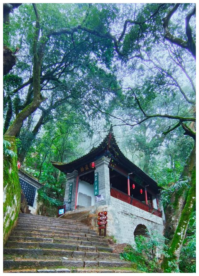 每日一景摄影师镜头下的云南玉溪秀山空灵绝美