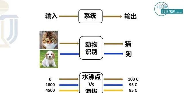 香港科大教授汪扬：一位数学家眼中的区块链技术