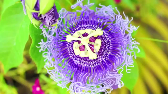 经典的一首《何瑶-黎明的曙光》超级有感觉,令多少粉丝痴迷